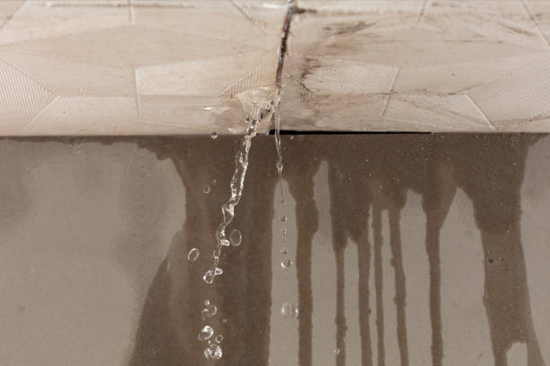 Professional Structural Drying technician working in East Spencer, NC